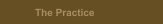 The Practice