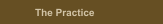 The Practice